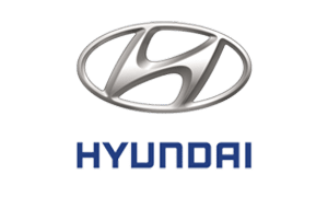 Hyundai dakdragers